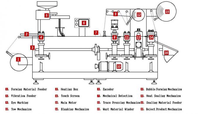 DPP-140E Full Automatic Capsule Alu Alu Blister Packing Machine for Small Pharmceutical Plant
