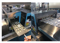 Stainless Steel Pharmacy Alu Alu Blister Packing Machine With Mold Easily Replaceable